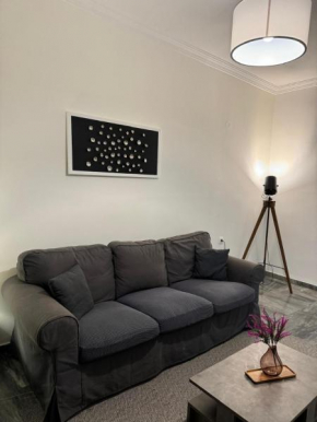 Central Elegant Flat